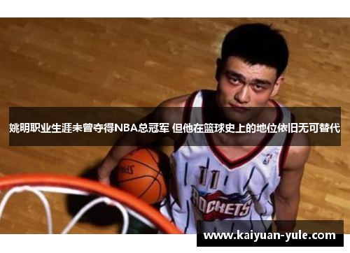 姚明职业生涯未曾夺得NBA总冠军 但他在篮球史上的地位依旧无可替代