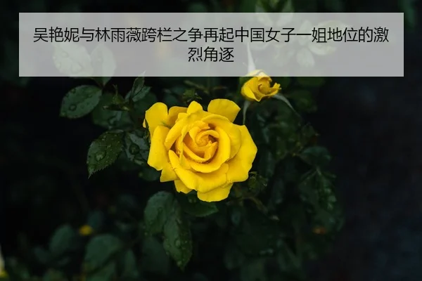 吴艳妮与林雨薇跨栏之争再起中国女子一姐地位的激烈角逐