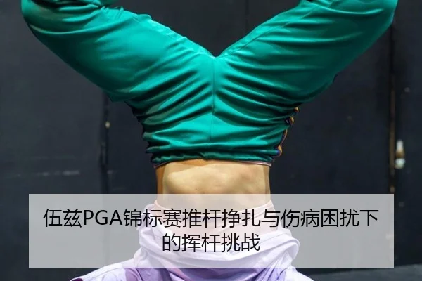 wu-zi-jin-biao-sai-tui-gan-zheng-zha-yu-shang-bing-kun-rao-xia-de-hui-gan-tiao-zhan-2-384.jpg