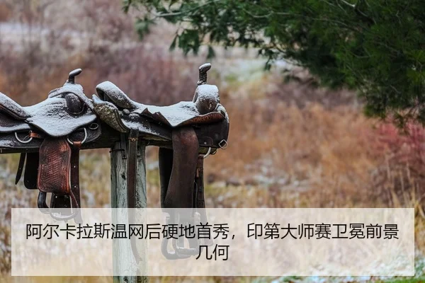 a-er-ka-la-si-wen-wang-hou-ying-di-shou-xiu-yin-di-da-shi-sai-wei-mian-qian-jing-ji-he-2-442.jpg