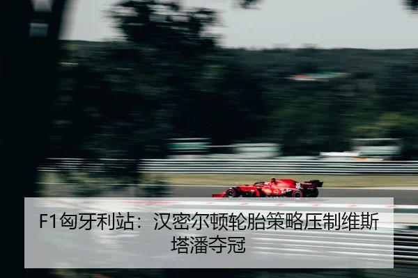 xiong-ya-li-zhan-han-mi-er-dun-lun-tai-ce-lve-ya-zhi-wei-si-ta-pan-duo-guan-2-392.jpg