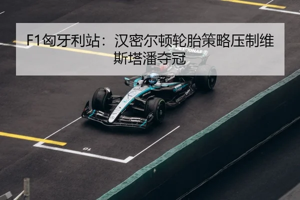 xiong-ya-li-zhan-han-mi-er-dun-lun-tai-ce-lve-ya-zhi-wei-si-ta-pan-duo-guan-3-286.jpg