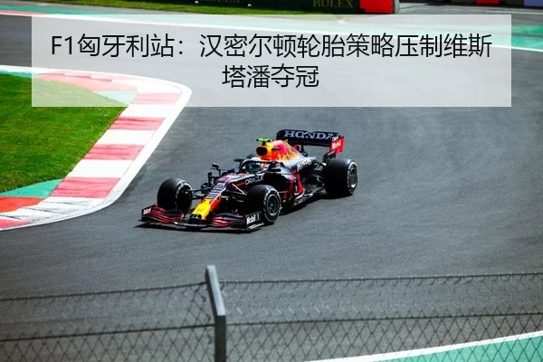 F1匈牙利站：汉密尔顿轮胎策略压制维斯塔潘夺冠