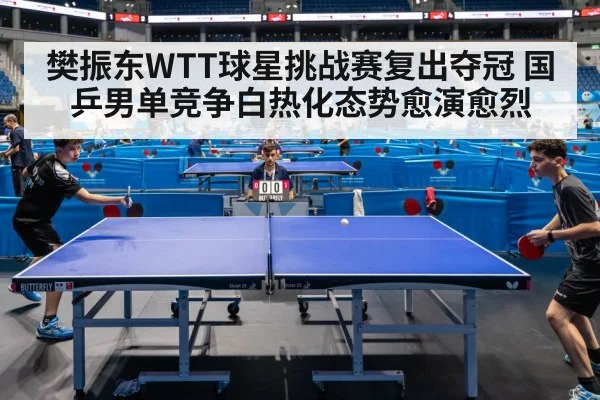 樊振东WTT球星挑战赛复出夺冠 国乒男单竞争白热化态势愈演愈烈