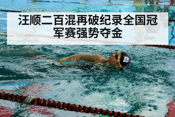 汪顺二百混再破纪录全国冠军赛强势夺金